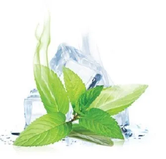 ePuff eLiquid Kit - Menthol Sensation 100 ml