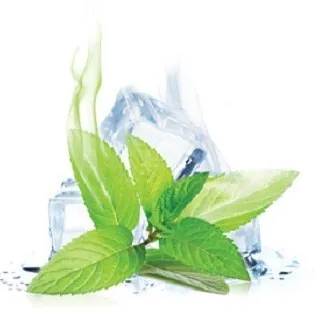 ePuff Concentrate - Menthol 10 ml.