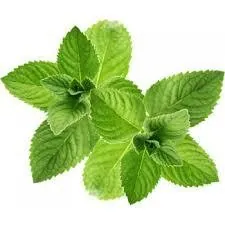 ePuff Shortfill - Mint Strong 30/ 10 ml