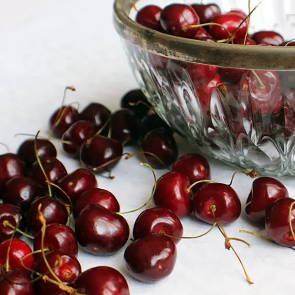 Black Cherry 15 ml.- Perfumers Apprentice