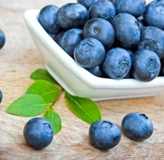 Blueberry (Wild) Aroma 15 ml.- Perfumers Apprentice