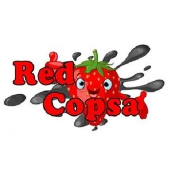 [4061] Copsa Aroma Red Copsa 10 ml
