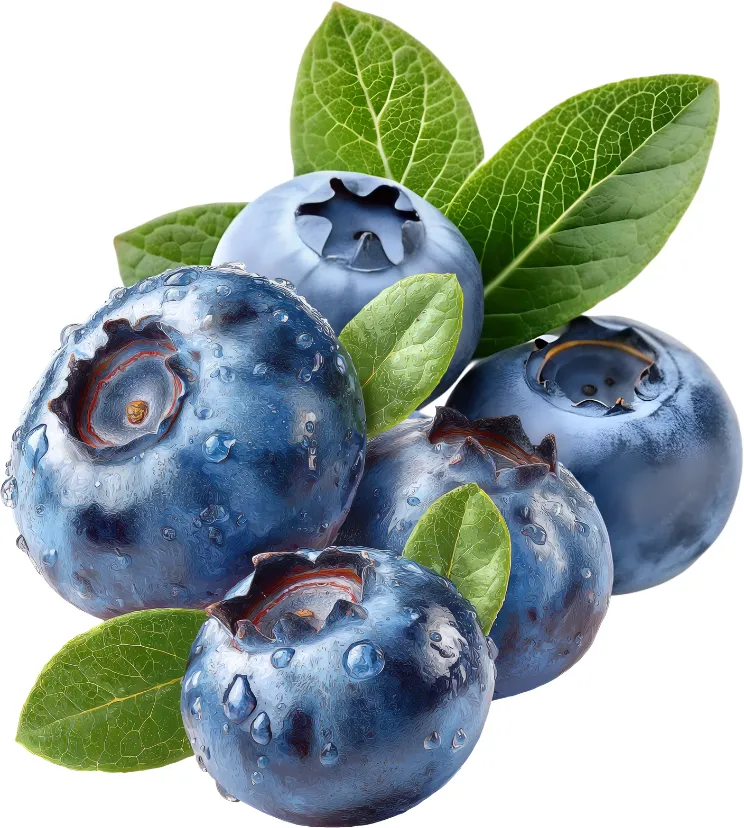 [4405] DDK Aroma - Blueberry 10 ml.