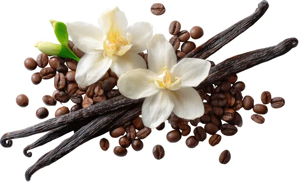 [4441] DDK Aroma - Vanilla 10 ml.
