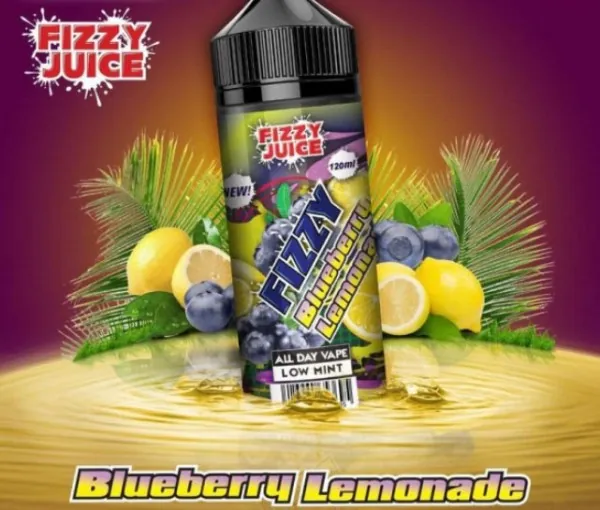 Mohawk and Co. Fizzy Blueberry Lemonade - 100 ml